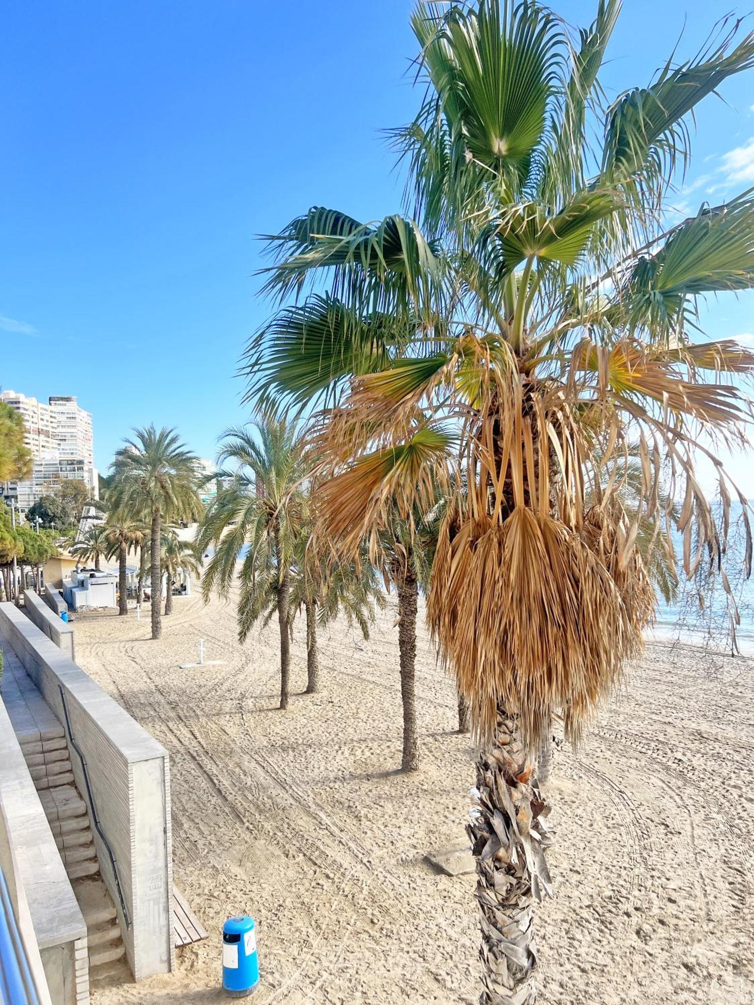 Апартаменты A 100M De La Playa. 2 Hab. A/C Аликанте Экстерьер фото